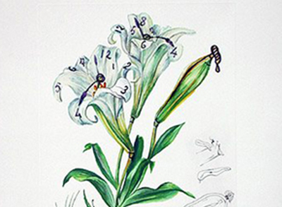 Salvador Dali - Flowers